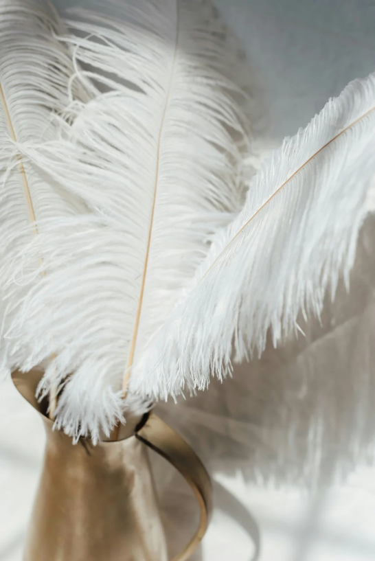 White feathers in golden vase